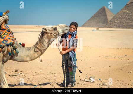 Ein ägyptischer Junge küsst ein Kamel an den Pyramiden in Gizeh, Ägypten Stockfoto