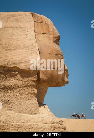 Die große Sphinx von Gizeh in der Profilansicht Stockfoto