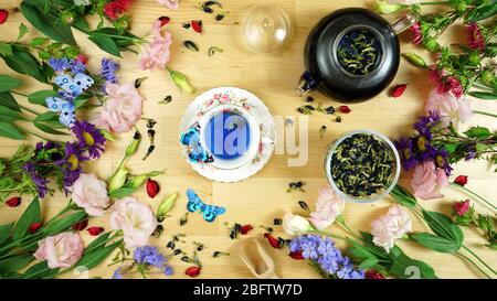 Premium Blue Butterfly Pea Flower Kräutertee ist ein koffeinfreies Kräutertee-Getränk, das aus der Infusion der Blütenblätter der Clitoria ternat hergestellt wird Stockfoto