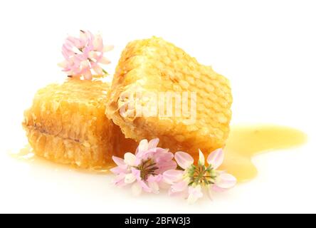 goldene Waben mit Honig und Wildblumen auf weiß isoliert Stockfoto