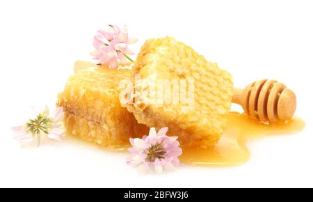 goldene Waben, Wildblumen und Holznieselschnepfe mit Honig isoliert auf weiß Stockfoto