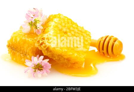 goldene Waben, Wildblumen und Holznieselschnepfe mit Honig isoliert auf weiß Stockfoto