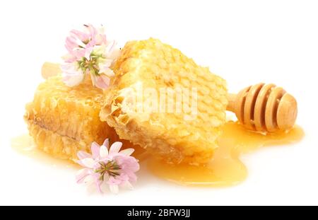 goldene Waben, Wildblumen und Holznieselschnepfe mit Honig isoliert auf weiß Stockfoto