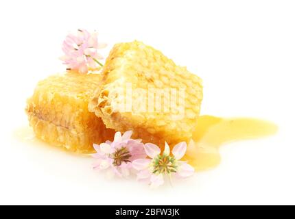 goldene Waben mit Honig und Wildblumen auf weiß isoliert Stockfoto