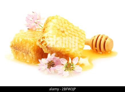 goldene Waben, Wildblumen und Holznieselschnepfe mit Honig isoliert auf weiß Stockfoto