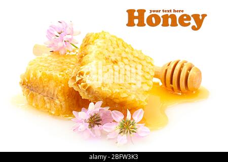 Goldene Waben, Wildblumen und Holznieselschnepfe mit Honig isoliert auf weiß Stockfoto