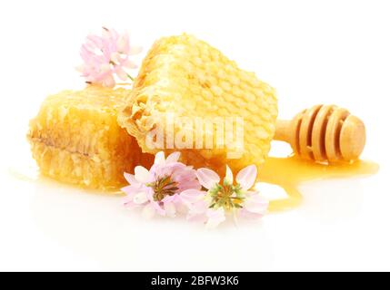 goldene Waben, Wildblumen und Holznieselschnepfe mit Honig isoliert auf weiß Stockfoto