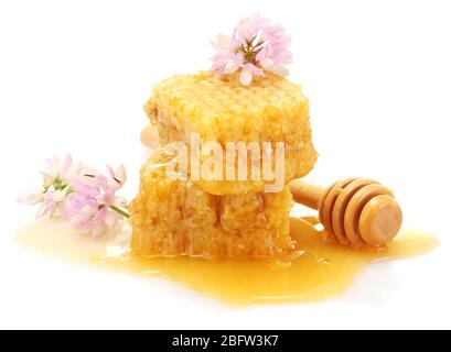 goldene Waben, Wildblumen und Holznieselschnepfe mit Honig isoliert auf weiß Stockfoto