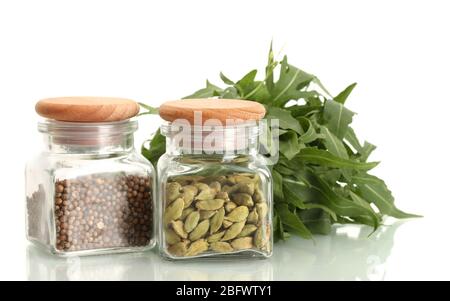 Gläser Koriandersamen und grüner Kardamom isoliert auf weißen Nahaufnahme Stockfoto