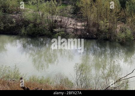 Benevento - Oca del Nilo nel fiume Calore Stockfoto
