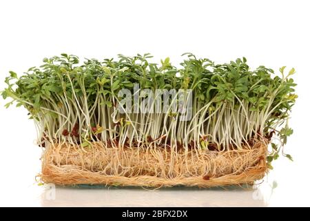 Frischer Kressensalat auf Weiß isoliert Stockfoto