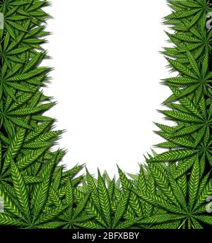 Marihuana Hintergrund Rahmen und Cannabis Rand Design auf einem weißen Hintergrund als Symbol für medizinische Topf oder medizinisches Gras als Gruppe von grünen Blättern i Stockfoto