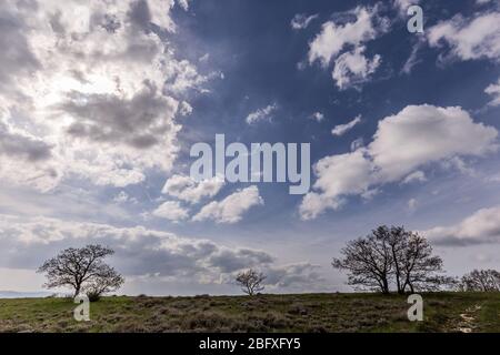 Feld über einen Hügel, Baum und tiefen Himmel mit Wolken Stockfoto
