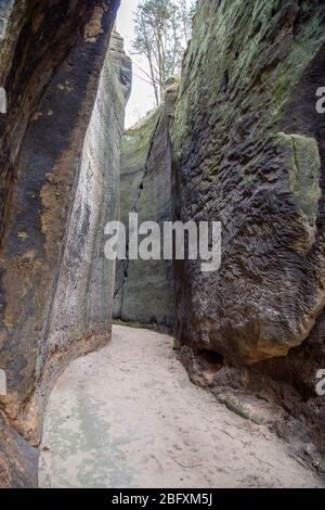 Der Weg durch die Schlucht in Oybin bei der Burg. Die Schlucht wurde im Mittelalter künstlich von Menschenhand geschaffen. Stockfoto