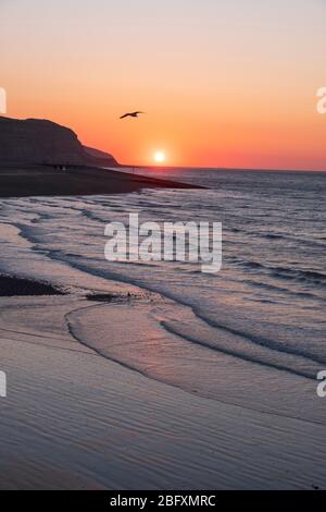 Hastings, East Sussex, 20. April 2020. Klarer Sonnenaufgang bei Ebbe am Hafen an einem kühlen Morgen, aber mit einem weiteren schönen sonnigen Tag in Aussicht. Carolyn Clarke/Alamy Live News Stockfoto