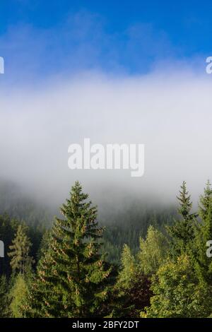 Wunderschöne Alpenlandschaft bei Sonnenaufgang mit klärenden Nebel Stockfoto