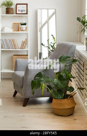 Vertikale Hintergrundbild von bequemen grauen Sessel in gemütlichen Ecke des modernen skandinavischen Hause mit Pflanzen, kopieren Raum dekoriert Stockfoto