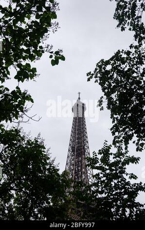 Blick auf den oberen Teil des Eiffelturms durch die Silhouette des Laubs Stockfoto