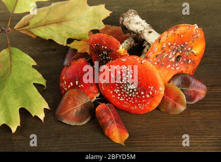 Rote amanitas, auf Holzhintergrund Stockfoto