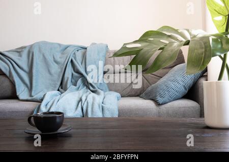 Gemütliches Wohnzimmer mit Sofa. Schwarzer Tee Tasse auf Tisch dekoriert mostera. Skandinavische Einrichtung. Bleiben Sie zu Hause. Selbstisolierung. COVID19. Stockfoto