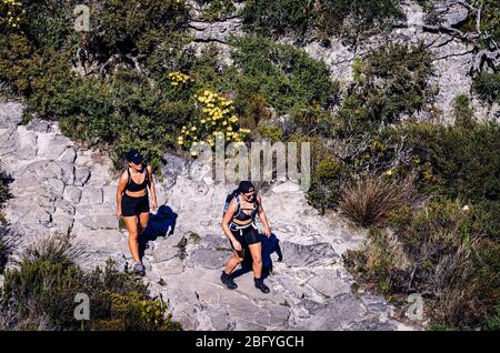 Wanderinnen tragen Shorts und Kappen und wandern an heißen Tagen auf dem Gipfel des Tafelberg Nationalparks Kapstadt Südafrika Stockfoto