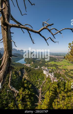 Blick von der Aufstieg zum Tegelberg auf Schloss Neuschwanstein, im Hintergrund links die Alpsee, Schwangau bei Füssen, Schwaben, Bayern, Deutschland, Europa Stockfoto