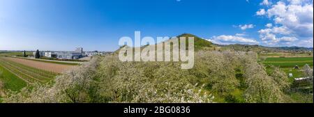 Dron Luftaufnahme, Schloss Ortenberg im Frühling, Ortenberg, Schwarzwald, Baden-Württemberg, Deutschland, Europa Stockfoto