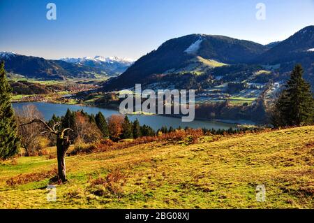 Blick auf den Alpsee und Immenstadt, rechts die Immenstädter Horn (1489 m), im Hintergrund der schneebedeckte Allgäuer Hochalpen, Allgäu, Schwaben, B Stockfoto