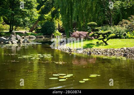 Sommer japanischer Garten. Wunderschöne Natur. Stadtpark Stockfoto