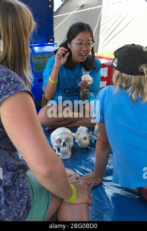 Home Education Festival Teilnehmer im Chaos Science Zelt. Die Workshop-Leiter sind von der Cambridge University. 2014 Stockfoto