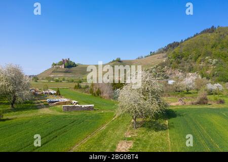 Dron Luftaufnahme, Schloss Ortenberg im Frühling, Ortenberg, Schwarzwald, Baden-Württemberg, Deutschland, Europa Stockfoto