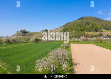 Dron Luftaufnahme, Schloss Ortenberg im Frühling, Ortenberg, Schwarzwald, Baden-Württemberg, Deutschland, Europa Stockfoto