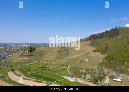 Luftdrohnenansicht, Schloss Ortenberg mit Landschaft des Kinzigtals, Ortenberg, Schwarzwald, Baden-Württemberg, Deutschland, Europa Stockfoto