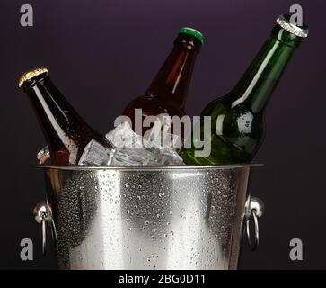 Bierflaschen in Eiskübel auf dunkles lila Hintergrund Stockfoto