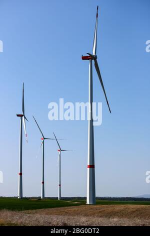 Wipperdorf, Deutschland. April 2020. Windturbinen in einem Windpark stehen noch für Windmangel. Insgesamt sieben Windenergieanlagen, darunter die höchste Windkraftanlage Thüringens mit einer Höhe von fast 240m, erzeugen hier 18.9 Megawatt Nennleistung. Quelle: Jan Woitas/dpa-Zentralbild/dpa/Alamy Live News Stockfoto