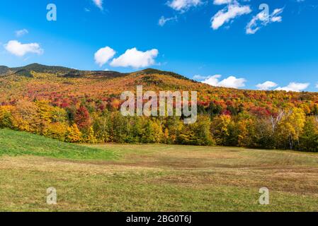 Berglandschaft unter blauem Himmel während der Herbstfärbung Stockfoto