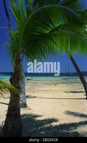 Strandszene mit Palmen und Booten, Plantation Island, Malolo Lailai, Mamanuca Gruppe, Fidschi Stockfoto