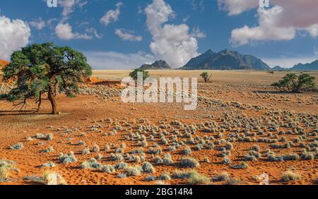 Natur landschaftliche Schönheit der ruhigen Wüstenregion mit entfernten Bergen in der Sossousvlei-Gegend von Namibrand in Namibia Stockfoto