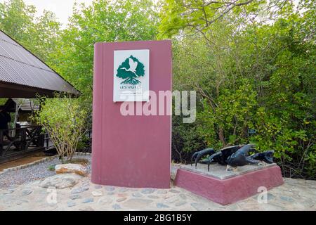 April 1,2020 - Pranburi, Thailand; das Waldparkschild Pranburi in Pranburi, das einen schönen Mangrovenpfad hat. Stockfoto
