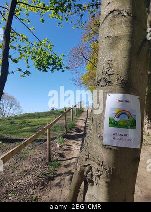 Temple Newsam, Leeds. Ein Baum mit Poster, Flyer mit Regenbogen und Worten: "Gemeinsam können wir das durchkommen". Öffentlicher Fußpfad. GROSSBRITANNIEN Stockfoto