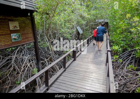 April 1,2020 - Pranburi, Thailand; Thai Tourits sind Wanderwege im Mangrovenwald des Pranburi Waldparks, der sehr schöne Mangrovenwälder hat Stockfoto