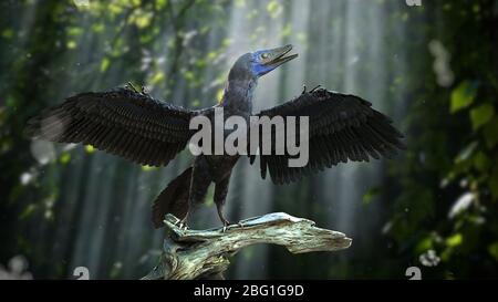 Archaeopteryx, vogelähnlicher Dinosaurier aus der späten Jurazeit vor rund 150 Millionen Jahren Stockfoto