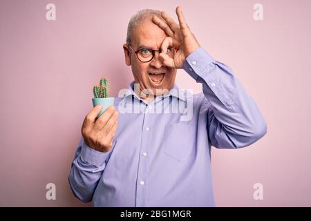 Mittelalter gut aussehende hoary Mann hält kleine Kaktus Pflanze Topf über isoliert rosa Hintergrund mit glücklichen Gesicht lächelnd tun ok Zeichen mit Hand auf Auge Blick Stockfoto