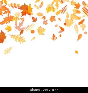 Herbsthintergrund mit goldenem Ahorn, Eiche und anderen Blättern. EPS 10 Stock Vektor