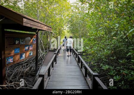 April 1,2020 - Pranburi, Thailand; Besucher wandern auf dem Weg zum Mangrovenwald, der sich im Pranburi Waldpark im Süden Thailands befindet. Stockfoto