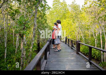 April 1,2020 - Pranburi, Thailand; Besucher wandern auf dem Weg zum Mangrovenwald, der sich im Pranburi Waldpark im Süden Thailands befindet. Stockfoto