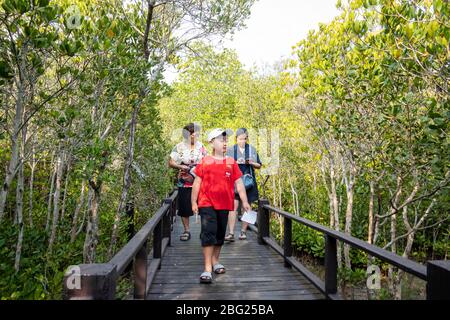 April 1,2020 - Pranburi, Thailand; Besucher wandern auf dem Weg zum Mangrovenwald, der sich im Pranburi Waldpark im Süden Thailands befindet. Stockfoto