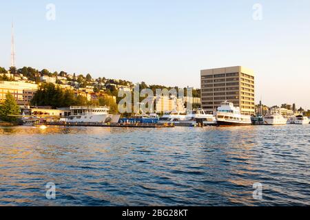 Marina am Westufer des Lake Union, Seattle, Washington State, USA Stockfoto