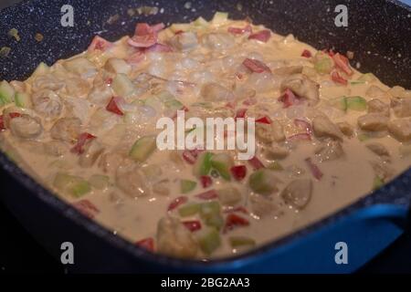 Geschmortes Hähnchencurry mit Gemüse, Curry-Hähnchen Stockfoto