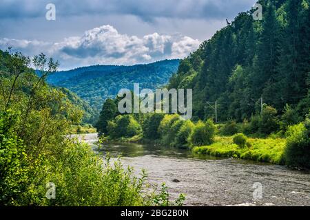 Mures River Valley in Ost-Karpaten, in der Nähe von Dorf Rastolita, Mures County, Siebenbürgen, Rumänien Stockfoto